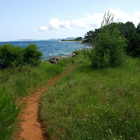 House Alan With Sea View 50m From The Sea In Nerezine